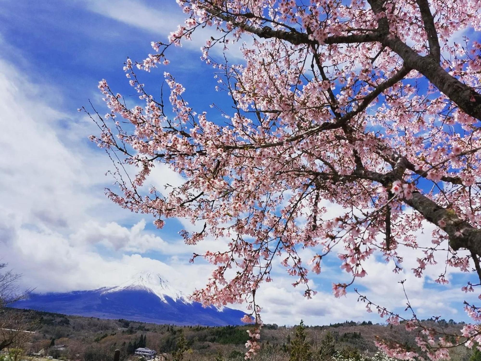 Rokumeikan Hills Yamanakako Exteriör bild